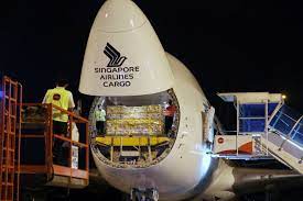 Types of vaccines that you can expect in singapore. Singapore Gets Shipment Of Pfizer Biontech Covid 19 Vaccine