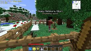 The original life in the woods renaissance from www.lifeinthewoods.ca with some additions: Life In The Village Modpacks 1 12 2 Tale Of Your Kingdom 9minecraft Net