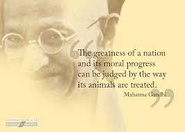 Quotes About Social Animals 66 Quotes