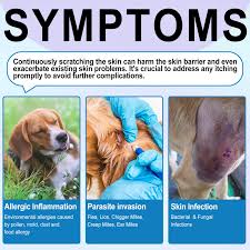 Image result for mold in the ear dog