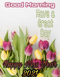 31 Good Morning Happy New Year 2021 Wishes Images Hd Good Morning Happy Happy New Happy New Year The happy new year images animation images are apt to send your friends,family,girlfriend,boyfriend,bro,sis etc. pinterest