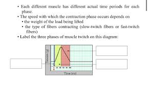 Solved Between Treppe And Incomplete Tetanus, Muscle | Chegg.Com