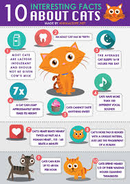 Pin On Infographics