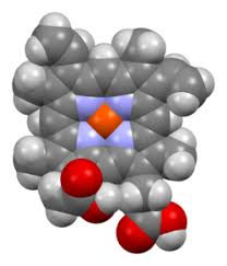 Image result for Heme