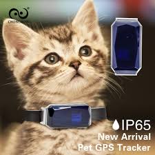 Cat trackers use one of three tracking technologies: Waterproof Gps Tracker For Cats With Collar Mini Gps Tracker Dog Pets Cow Horse Free Lifetime App And Platform Gps Trackers Aliexpress