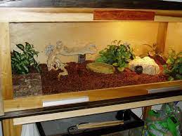 Custom Ball Python Enclosure Google Search Ball Python Reptile Tank Reptiles Pet