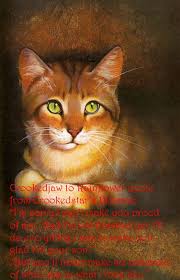 I Need To Make This My Life Motto Warrior Cats Quotes Warrior Cats Warrior Cats Books