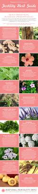 Fertility Herb Guide Heavy Menstrual Bleeding