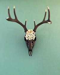 Sale Painted 8 Point Whitetail Deer Skull Gold Matte Black Deer Skulls Deer Skull Art Painted Deer Skulls