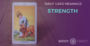 If you are single the strength card is an indicator that now is a great time to meet someone as your confidence will be shining through. Strength Tarot Card Meanings Biddy Tarot