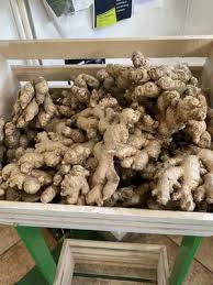 Dewey g, wickramasekaran rn, kuo t, robles b. B Healthy Fresh Food Market 10 Photos Fruits Veggies 442 Genesee St Rochester Ny Phone Number