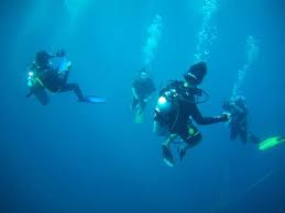 Maybe you would like to learn more about one of these? The Barat Dive Center Perhentian Pulau Perhentian Besar 2021 All You Need To Know Before You Go Tours Tickets With Photos Tripadvisor