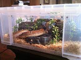Snake Terrarium Reptile Cage Snake Cages