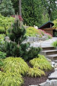 Designing With Conifers Exploring Color Traditional Landscape Easy Landscaping Conifers Garden