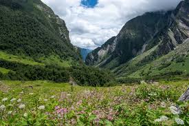 Valley of Flowers