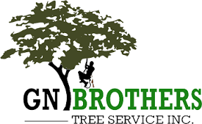 Check spelling or type a new query. Gn Brothers Tree Service Gerber1960 Profile Pinterest