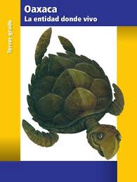 Cuaderno de trabajo para la entidad donde vivo. Entidad Donde Vivo Oaxaca By Raramuri Issuu