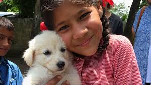 Final Deck (DAR Copy) Oct 1 2024