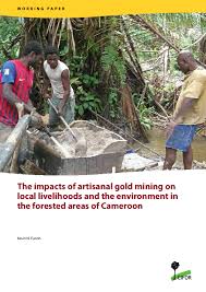 Image result for Sterculia subviolacea