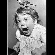 Irene Fix (irene4fix)