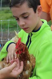 Embryology Intro Packet.docx