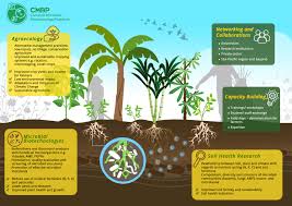 Climate change, intercropping, pest control and beneficial microorganisms издательство: Objectives Cmbp The Common Microbial Biotechnology Platform