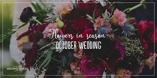 Check spelling or type a new query. Pin On Wedding