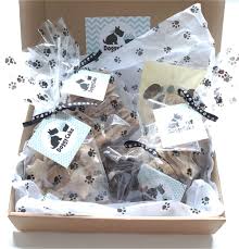 Both our dogs suffered prolonged and severe gas and very loose stools while this food was integrated into their regular diet. Dog Food Exposed Dr Marty Video Review Pets News And Review