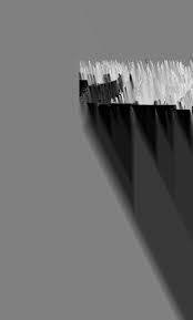 Image result for Stereospermum harmsianum