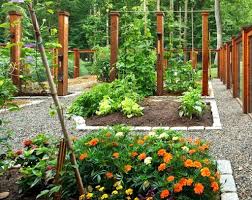 Vegetable Garden Design Ideas Australia Excellent Raised Garden Bed Design Ideas For Garden Design Home Vegetable Garden Veggie Garden Beds Garden Planning