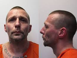 Daily Booking Activity Report