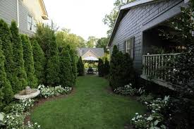 Schnellwachsende Hecke Als Sichtschutz Welche Arten Cottage Garten Gartendesign Ideen Und Gartengestaltung