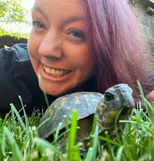 What happens when a turtle is...