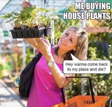 When My Gf Tries To Buy Another Plant For The House Gardening Memes Green Thumb Humor House Plants