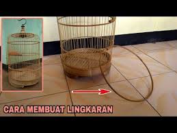 Seluruh produk sangkar burung murai batu no 2 telah terakurasi dengan baik sehingga menawarkan kualitas yang terbaik dengan promo dari lazada sehingga membuat. Cara Membuat Lingkaran Untuk Sangkar Burung Bulat Youtube