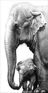 Gary Hodges Wildlife Art Elephant Drawing Realistic Drawings Pencil Drawings Of Animals