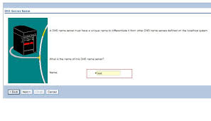Moving A Master Dns Server To A Different System