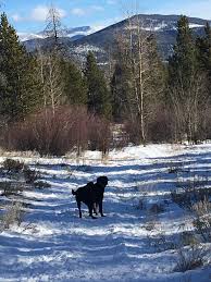 Profile for Cindy Barrow LCSW