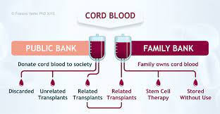 An annual storage fee of $185 for cord blood banking, or $370 for cord blood and cord tissue banking, will be charged each year following your baby's first birthday. Cord Blood Banking In Singapore 2020 Cost And Reviews