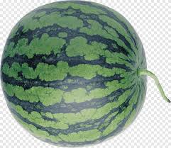 We did not find results for: Watermelon Cucurbita Winter Squash Watermelon Food Melon Png Pngegg