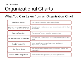Organization Structure And Design Ppt Video Online Download