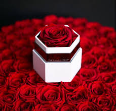 Roses are a classic romantic gift to send to the one you love. Beautiful Amazing And The Million Roses Image 6381607 On Favim Com