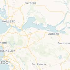 Square slices of zucchini cake with cream cheese frosting on a rectangular white platter. Explore The San Francisco Bay Area From A Beautiful Setting While Helping With Home Cooking And Vegetable Gardening California Usa