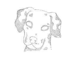 Wenn du einen freund brauchst, kaufe dir einen hund. Wie Zeichnet Man Einen Dalmatiner Hund Design Illustration Website Entwicklung Computerspiele Und Mobile Anwendungen