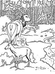 7 Zoo Animals Worksheets For Kindergarten Free Two Digit Addition Worksheets Sixth Grade S Zoo Animal Coloring Pages Animal Coloring Pages Horse Coloring Pages