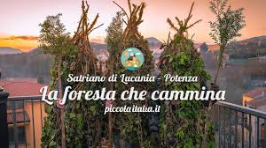 Il cartellone degli eventi tra teatro, giochi e musica. La Foresta Che Cammina Satriano Di Lucania Youtube