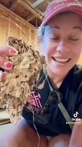 #Termites are probably top 5 “most destructive” when it comes to  construction. 💩