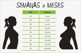 Calcular Quantas Semanas De Gestação Estou Meses X Semanas De Gravidez 15 Semanas De Gravidez Meses De Gravidez Anuncio De Gravidez