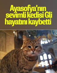 Esine Kizip Evine Yakan Adam Kamerada