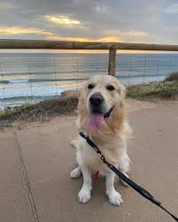 three laps around the sun!! happy birthday to me 🎉 here's a little look  back in to the last three years